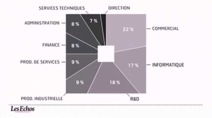 Illustration pour la vidéo L'infographie du jour : Les perspectives pour l'emploi cadre en 2011