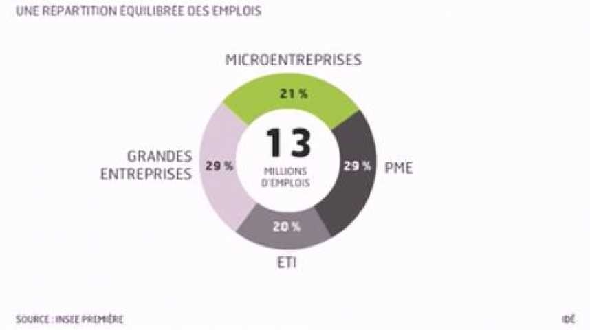 Illustration pour la vidéo L'infographie du jour : portrait de la France des entreprises