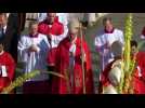 Pope begins Palm Sunday mass