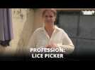 'Im in love with lice' Meet a professional lice picker
