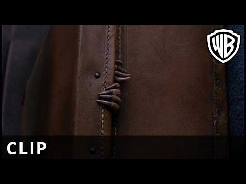 Fantastic Beasts and Where to Find Them - Just a Smidge Clip - Warner Bros. UK