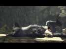 The Last Guardian PlayStation Experience Trailer