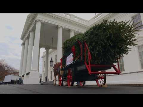 Michelle Obama receives White House Christmas Tree