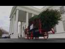 Michelle Obama receives White House Christmas Tree