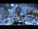 Vido Dark Souls III : Ashes of Ariandel - Combat contre le Grand Loup Garde-Stle