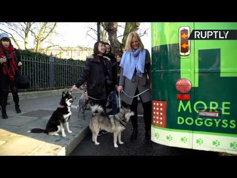 Who Let the Dogs Out? World’s First Canine Tour Bus Hits London
