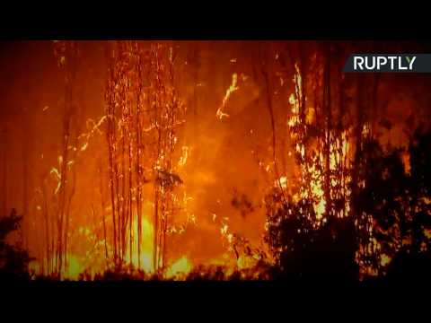 Largest Chilean Wildfire in 50 Years Claims Lives of 3 Firefighters