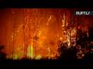 Largest Chilean Wildfire in 50 Years Claims Lives of 3 Firefighters