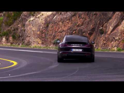 Porsche Panamera 4 E-Hybrid in Amethyst Metallic Driving Video Trailer | AutoMotoTV