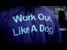 'Work Out Like A Dog' - Canine-Inspired Exercise Class Hits London