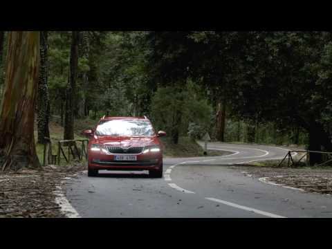 SKODA OCTAVIA COMBI - Driving Video in the  Country Trailer | AutoMotoTV