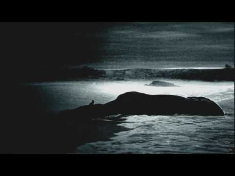 Rings | Clip: Watch Me Int'l 41 | UK Paramount Pictures