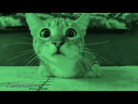 Rings | Not For Pussies | Paramount Pictures UK
