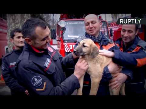 Turkish Firefighters Rescue Puppy from 230ft Well