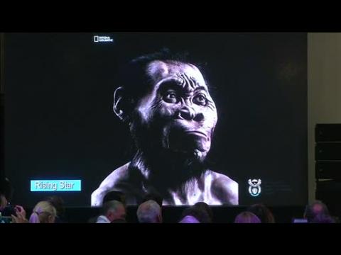 Anicent, human-like species discovered in South Africa