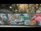La Ménagerie - Le Zoo du Jardin des Plantes - Paris