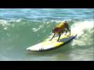 Canines hit the waves in surfing competition
