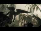 Vidéo Call of Duty : Ghost - Trailer conférence Xbox One Vidéo Call of Duty : Ghost - Trailer conférence Xbox One