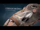 Vidéo Assassin's Creed III : La Tyrannie du Roi Washington - Le Pouvoir de l'Aigle Vidéo Assassin's Creed III : La Tyrannie du Roi Washington - Le Pouvoir de l'Aigle
