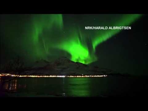 Rare footage shows whales swimming under the northern lights