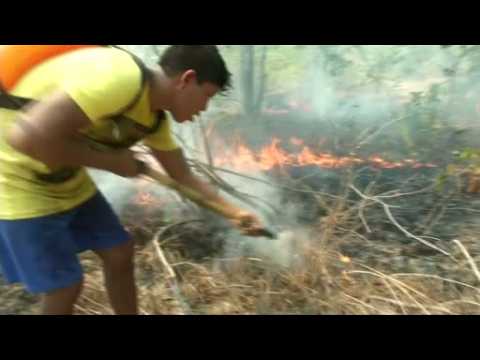 Amazon indigenous groups learn how to fight fire