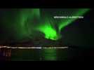 Rare footage shows whales swimming under Northern Lights