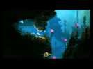 Vidéo Ori and the Blind Forest : Maîtrise Ecraser Vidéo Ori and the Blind Forest : Maîtrise Ecraser
