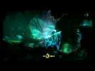 Vidéo Ori and the Blind Forest : Maîtrise Grimper Vidéo Ori and the Blind Forest : Maîtrise Grimper