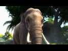 Vido Zoo Tycoon - Apporter une Franchise Nostalgique sur Next-Gen
