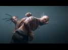 Vidéo Fighter Within - Trailer Vidéo Fighter Within - Trailer