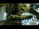 Vidéo Soluce Flashback HD : Jungle de titan, cheminement et yeux Morph Vidéo Soluce Flashback HD : Jungle de titan, cheminement et yeux Morph