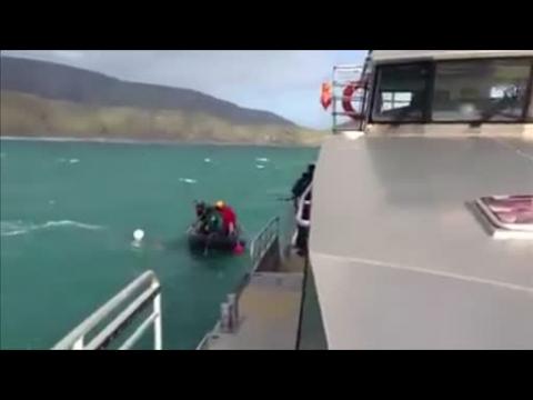New Zealand rescue team saves humpback whale tangled amongst cray pots