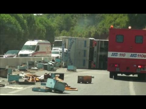Truck overturns releasing thousands of bees on Turkey highway