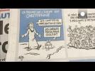 Charlie Hebdo criticised for cartoon ‘mocking drowned Syrian boy’