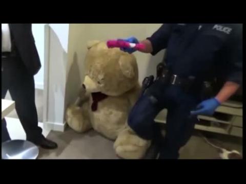 Man arrested in Sydney after guns found hidden in stuffing of teddy bear - police