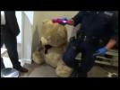 Man arrested in Sydney after guns found hidden in stuffing of teddy bear - police