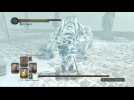 Vidéo Dark Souls 2 - Combat contre Aava, créature du Roi Vidéo Dark Souls 2 - Combat contre Aava, créature du Roi