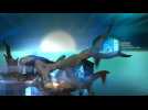 Vidéo Transistor : Test d'agence Vidéo Transistor : Test d'agence