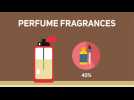 Does your nose know the difference? Be a perfume pro!