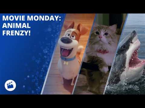 Movie Monday: Animal Frenzy!