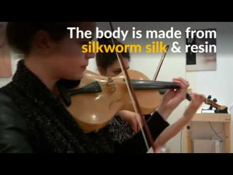 Spider silk puts new spin on violin design