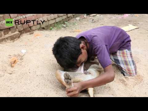 Meet Mohit, the 10-Year-Old Boy Who Feeds on Dog Milk