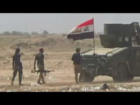 Iraqi forces and militia progress against Islamic State in Anbar