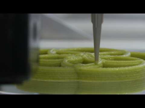 World's first 3D printing restaurant opens