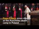 Pope Francis prays at Auschwitz