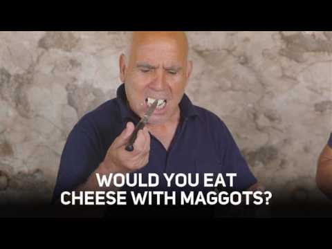 Maggot munching: a Sardinian cheese secret
