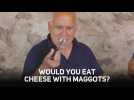 Maggot munching: a Sardinian cheese secret