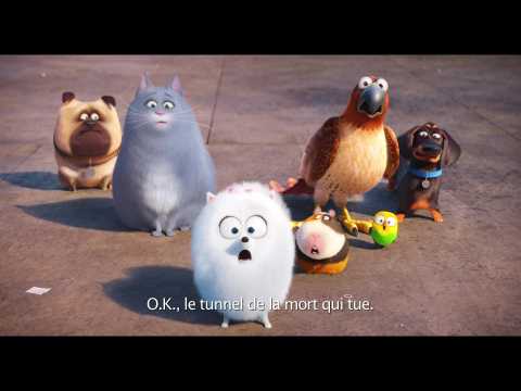 Bande-annonce Comme des bêtes