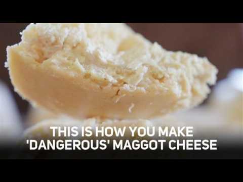 This is how you make maggot cheese. YUMMY!