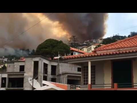 Wildfires kill three people on Portugal's Madeira, 1,000 evacuated